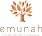 Emunah_Logo Bronze_Transparente