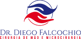 Logo Diego Falcochio vert