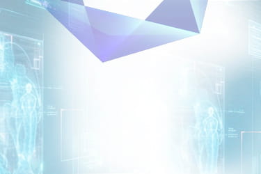 Quem Somos - conheça nossa equipe | Agência Shantal